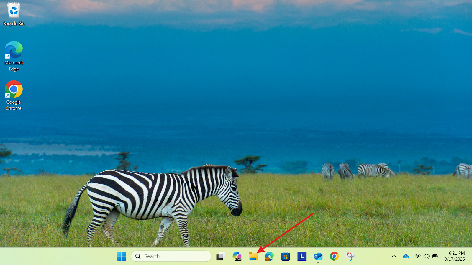 image (36).png